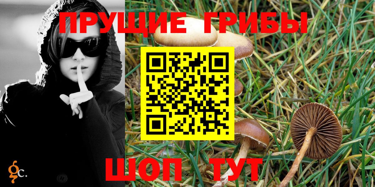 Нижнекамск  Галлюциногенные грибы Magic Shrooms  Вход с VPN  Галлюциногенные грибы MAGIC MUSHROOMS 